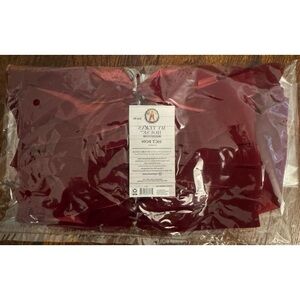 My Texas House Holiday Red Bow Decor Pack of 10